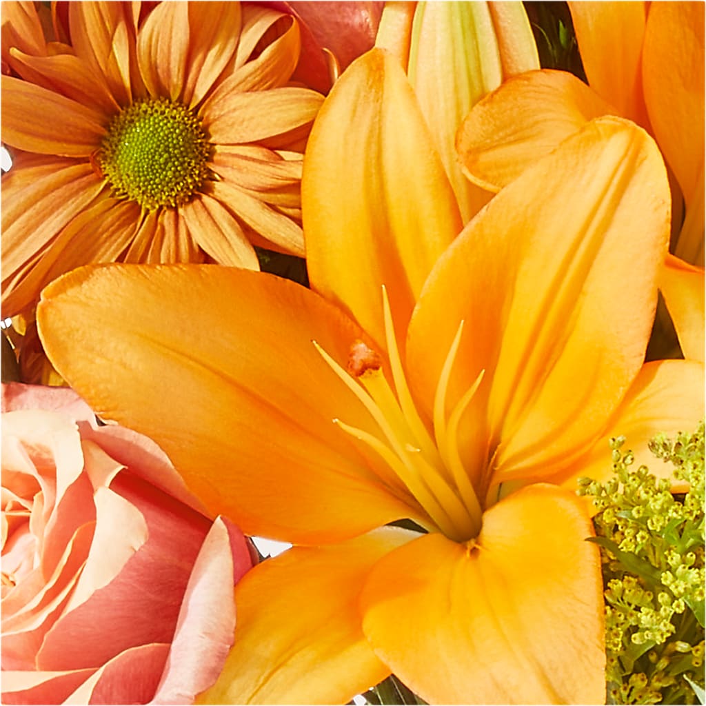 Harvest Hayride Bouquet –  Hallmark Flower Shoppe, Panama City FL