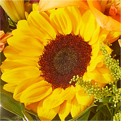 Seasons Change Bouquet –  Hallmark Flower Shoppe, Panama City FL
