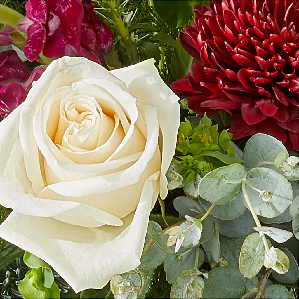 Cranberry Fizz Bouquet –  Hallmark Flower Shoppe, Panama City FL