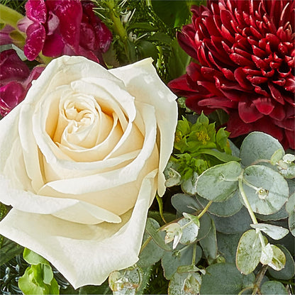 Cranberry Fizz Bouquet –  Hallmark Flower Shoppe, Panama City FL
