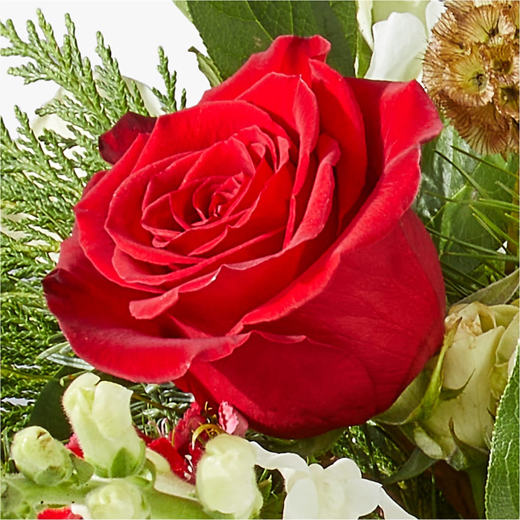 Deck the Halls Bouquet –  Hallmark Flower Shoppe, Panama City FL