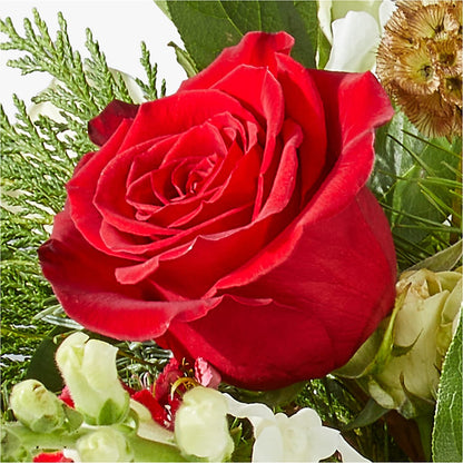 Deck the Halls Bouquet –  Hallmark Flower Shoppe, Panama City FL