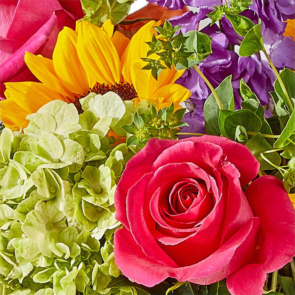 Vibrant Greetings Bouquet –  Hallmark Flower Shoppe, Panama City FL