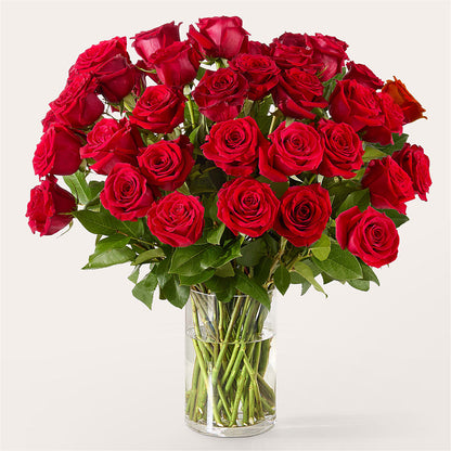 The One Red Rose Bouquet –  Hallmark Flower Shoppe, Panama City FL