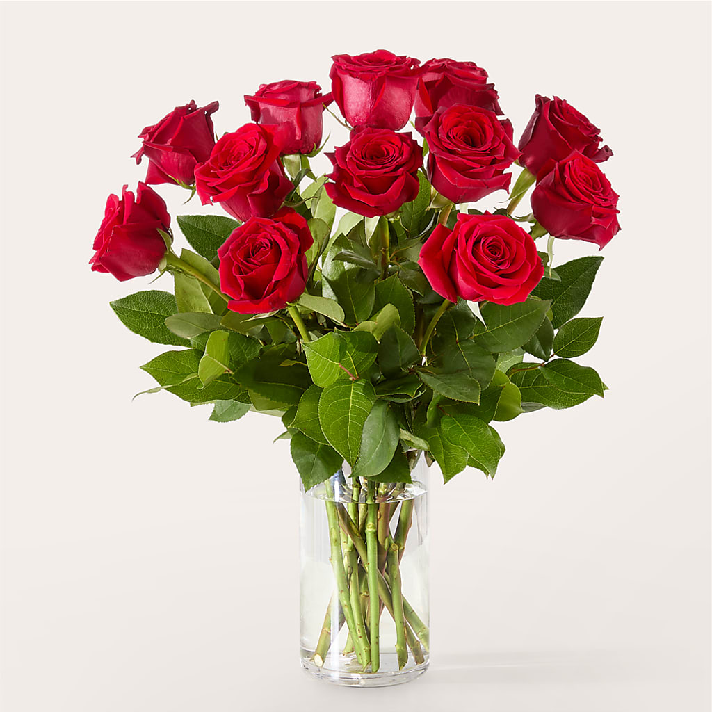 The One Red Rose Bouquet –  Hallmark Flower Shoppe, Panama City FL