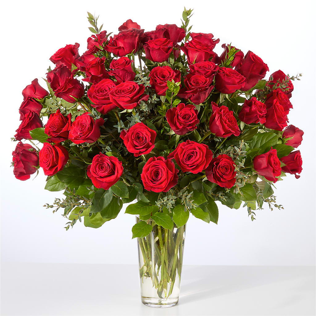 Forever Yours Fifty Stem Red Rose Bouquet –  Hallmark Flower Shoppe, Panama City FL