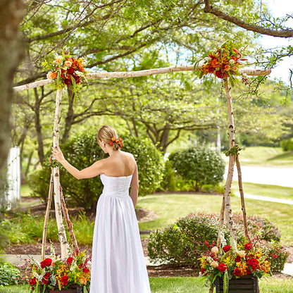 Arbor of Love Archway –  Hallmark Flower Shoppe, Panama City FL