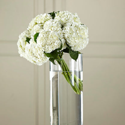 White Hydrangea Hand-Tied Bouquet –  Hallmark Flower Shoppe, Panama City FL