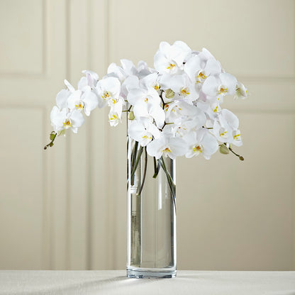 White Phalaenopsis Bouquet –  Hallmark Flower Shoppe, Panama City FL
