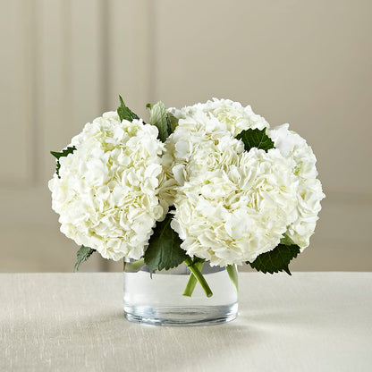 White Hydrangea Bouquet –  Hallmark Flower Shoppe, Panama City FL